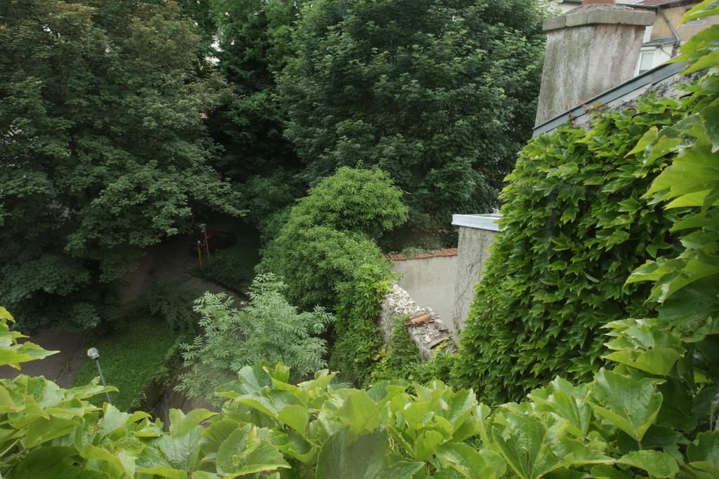 Les Suites De Catherine, La Si Calme Nancy Eksteriør billede